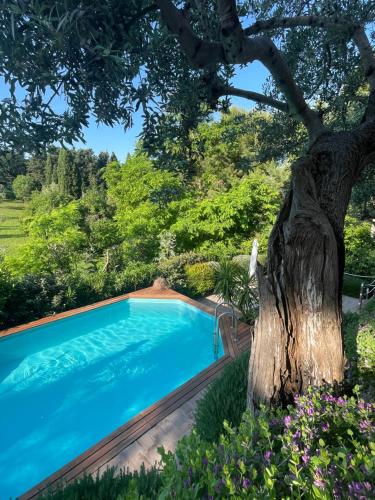 Amore a prima vista b&b - Accommodation - Campiglia Marittima