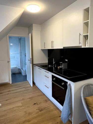 Central & modern penthouse-studio with balcony & air-condition, Zurich (photo 9)