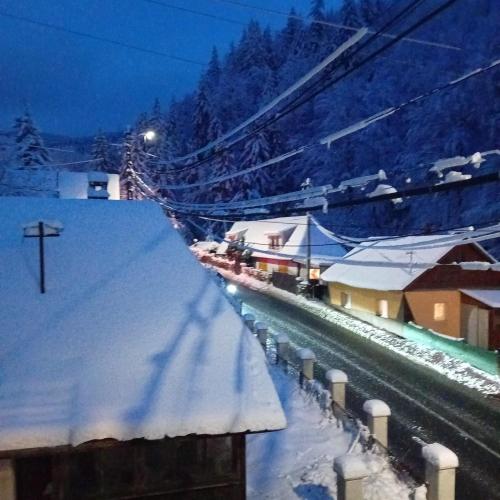 Casa Mont Blanc Cavnic apartament 2 in Cavnic