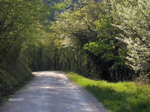 Villa Colticciola Agriturismo Marche