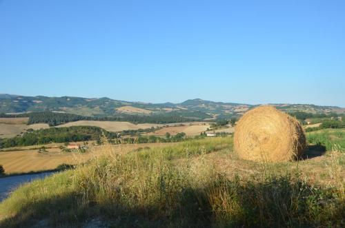 Villa Colticciola Agriturismo Marche