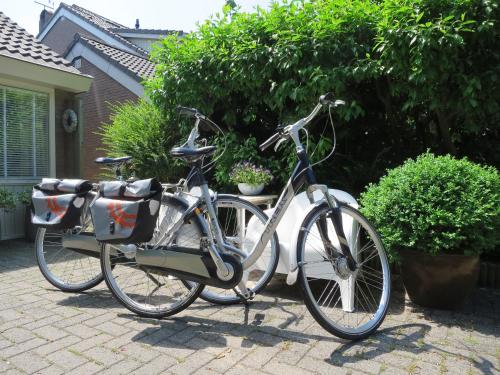 B&B Vloedlijn Texel - image 4