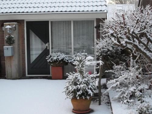 Pohled zvenku, B&B Vloedlijn Texel in Texel