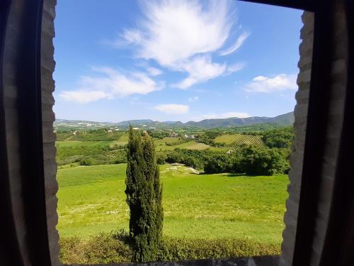 Villa Colticciola Agriturismo Marche