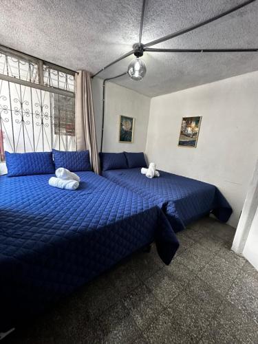CASA MAGNOLIA in Zone 12