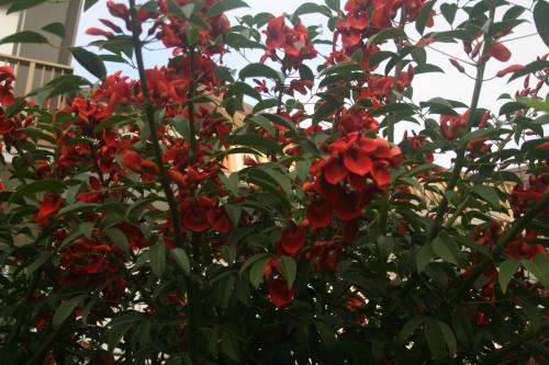 B&B del Castagneto
