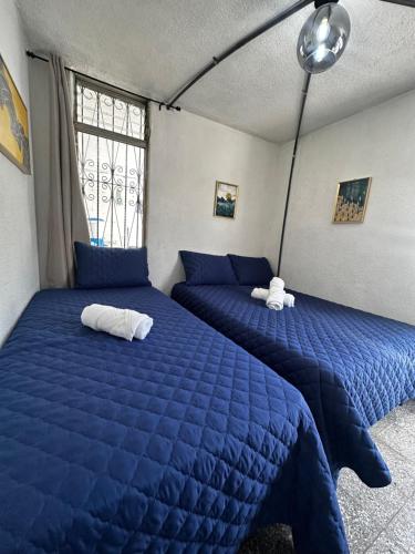 CASA MAGNOLIA in Zone 12
