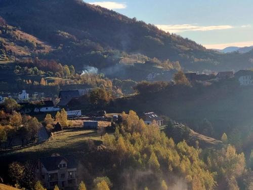 Mosorel in Măgura (Brasov)
