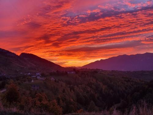 Mosorel in Măgura (Brasov)