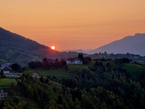 Mosorel in Măgura (Brasov)