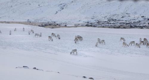 Wilderness Center / Óbyggðasetur Íslands