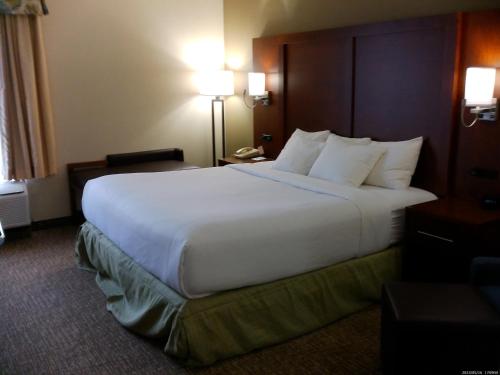 Comfort Inn & Suites - image 2