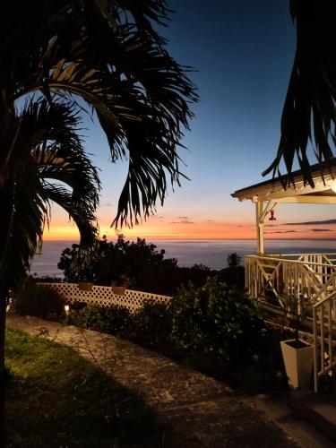 tuin, VillAnolis in Le Carbet