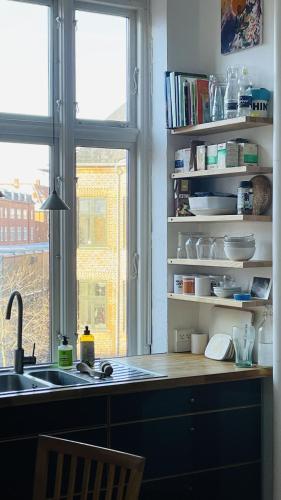 ApartmentInCopenhagen Apartment 1586, Copenaghen (foto 7)