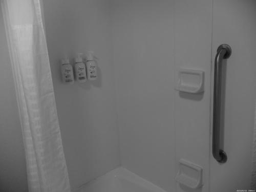 Comfort Inn & Suites - image 6