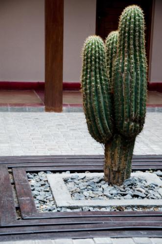 Munay Hotel Cafayate