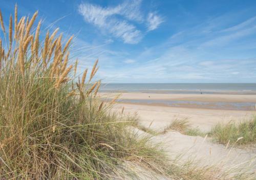 Salty - Vakantiehuisje op de grens van Bredene-De Haan, Bredene (fotografie 10)