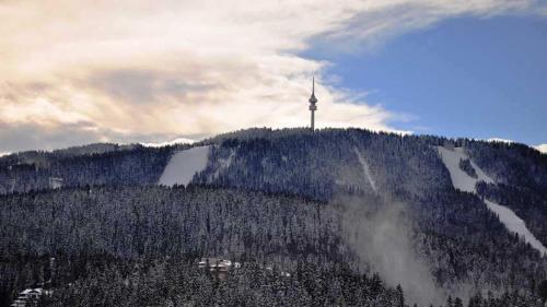 Тайната квартира - The Secret apartment, Pamporovo