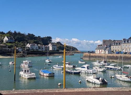 Appart vue mer-au pied du chemin de randonnée " Bassan"