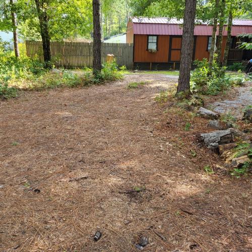 Fern Gully cabin in Conway, USA