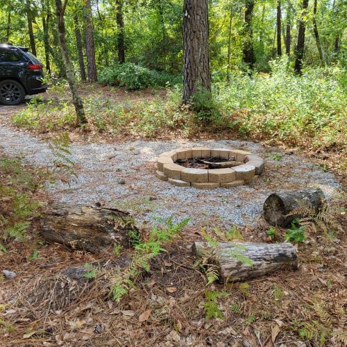 Fern Gully cabin in 萊德希爾（南卡羅來納州）
