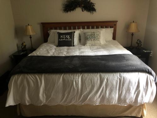 Plush garden level apartment near Stowe - Apartment - Morristown