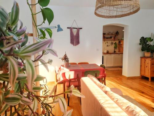 Apartament Borówka