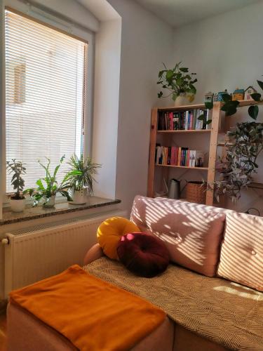Apartament Borówka