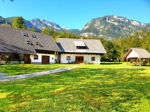 Apartmaji Zupanc Ivanka - Apartment - Bohinj