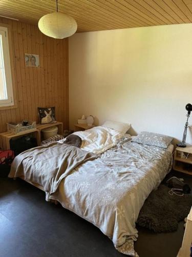 Gemütliche 45 Zimmerwohnung in den Bündner Bergen bei Sedrun