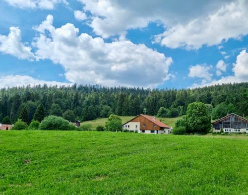 LaTerestone in Les Bayards, Schweiz