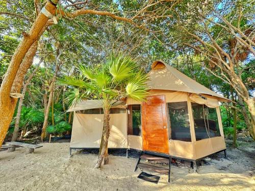 Beachfront luxury glamping