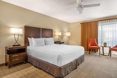 Best Western Plus Monterey Inn Room Type - King Room
