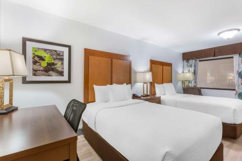 2 double beds