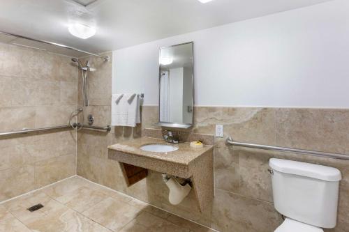 Best Western Plus El Paso Airport Hotel & Conference Center - image 2