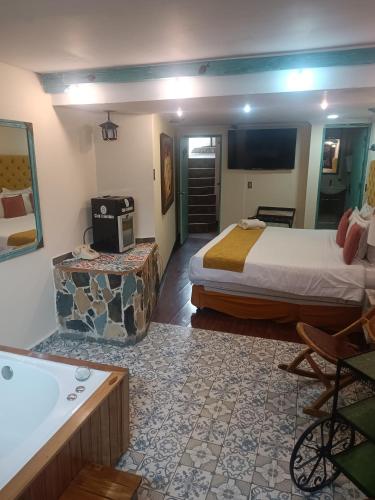 Hotel Casa Antigua - image 3