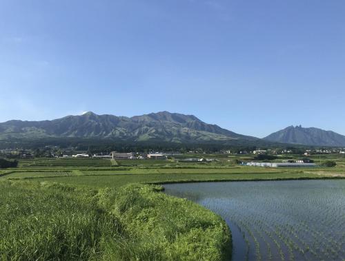 了廣寺