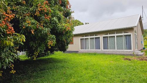 Kaz Anthurium - Location saisonnière - Saint-Benoît