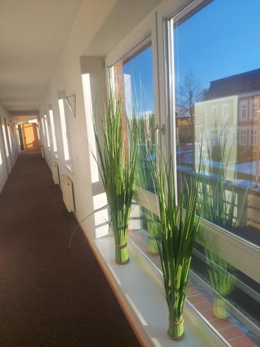 Kilátás, Hotel Adler & Eventlocation GmbH in Itzehoe