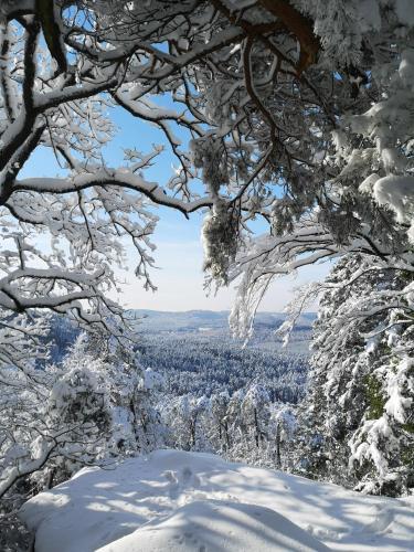 Gîte La Lisière (Gite La Lisiere) in Weiterswiller