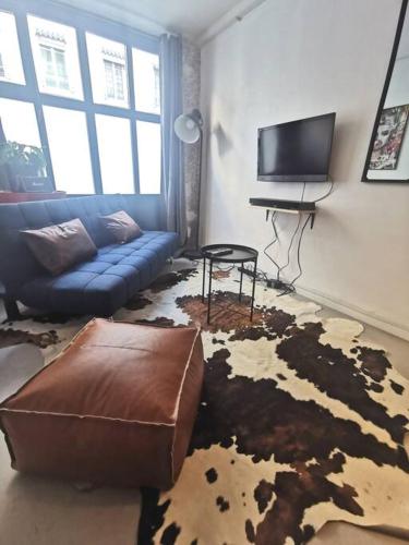 Joli T2 de 37M2 Style Loft Prox Gare Métro, Lyon (fotografie 4)