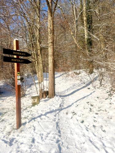 Stilvolles Ferienhaus in Gerolstein