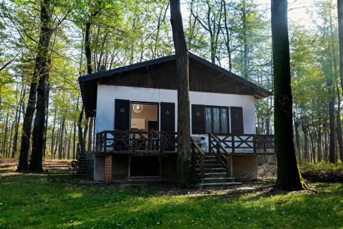  Le Case nel Bosco in Vanzago