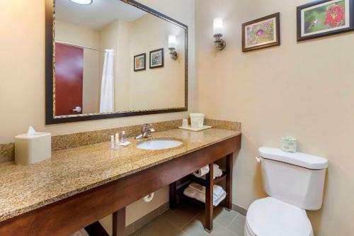 Comfort Suites Wilson - I - 95 in Wilson, USA