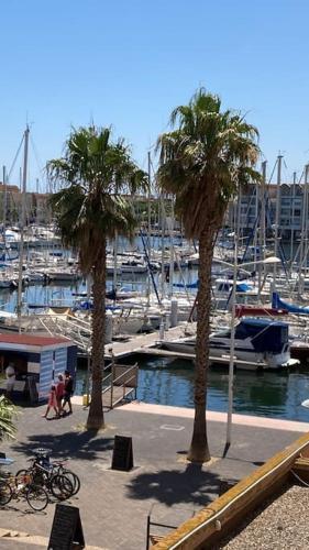 Front de port Gruissan - Location saisonnière - Gruissan