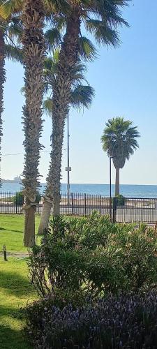 Palmar vista al mar