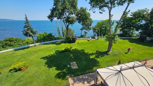 Hotel Dodo Beach - image 9