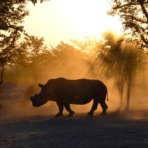 Sukulu Reserve