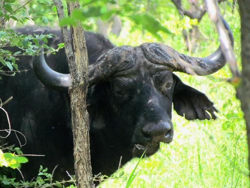 Sukulu Reserve