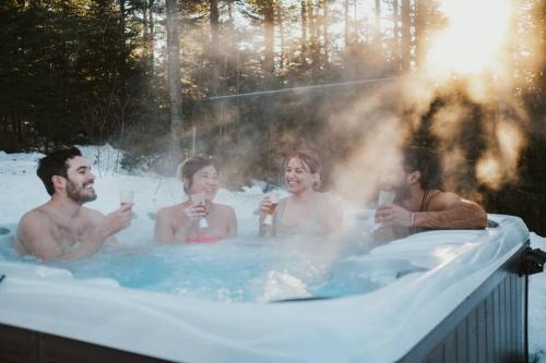 Chalet White Rabbit au Lac Fiddler in 米勒伊斯勒斯(QC)